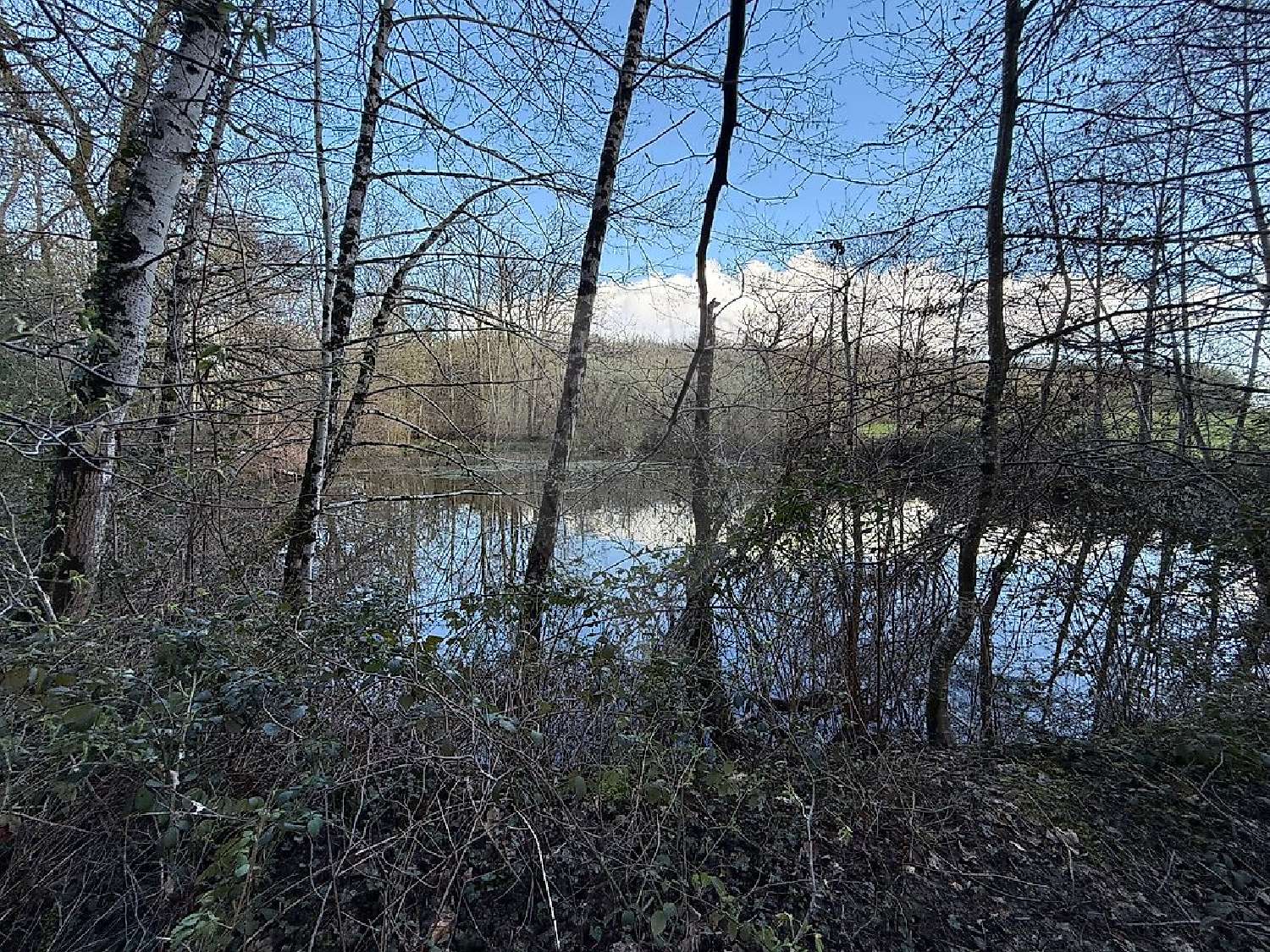  en venta terreno Cercy-la-Tour Nièvre 5