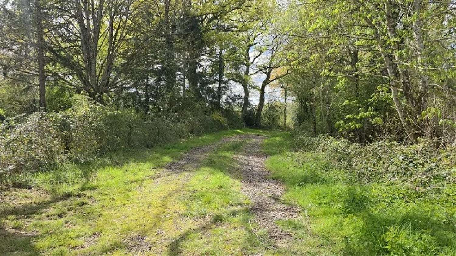  à vendre terrain Chaillac Indre 4
