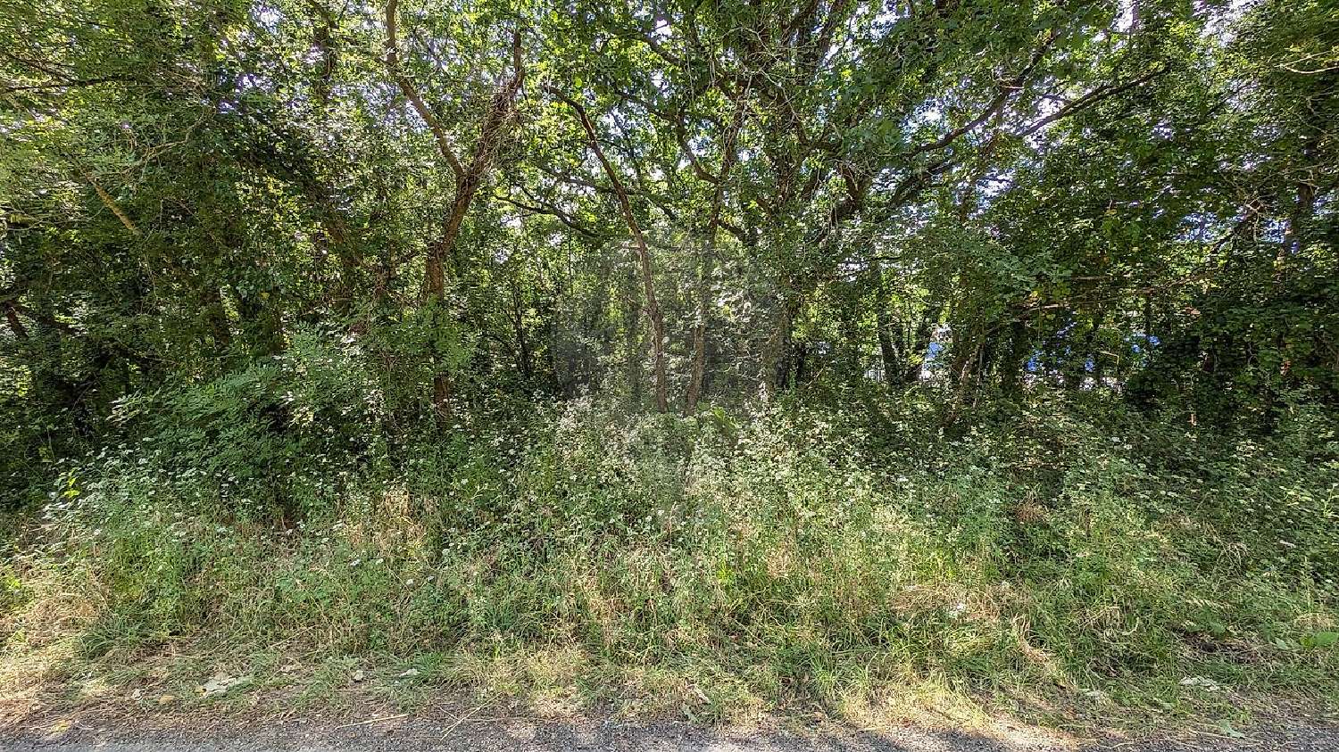 for sale terrain Chaillevette Charente-Maritime 2