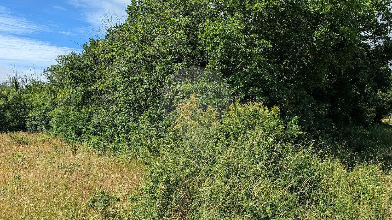 for sale terrain Chaillevette Charente-Maritime 3