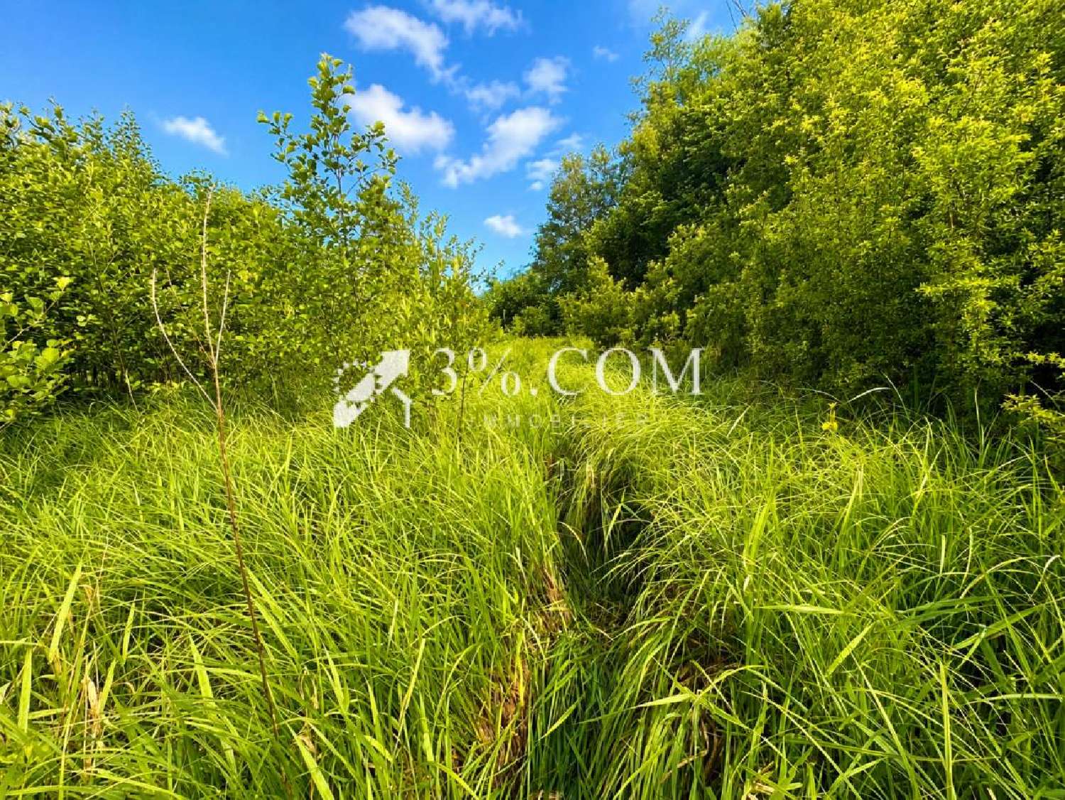  for sale terrain Chazelles-sur-Albe Meurthe-et-Moselle 1
