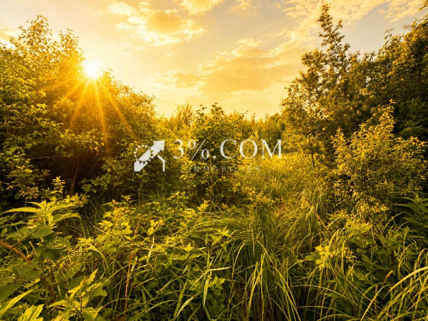  for sale terrain Chazelles-sur-Albe Meurthe-et-Moselle 2