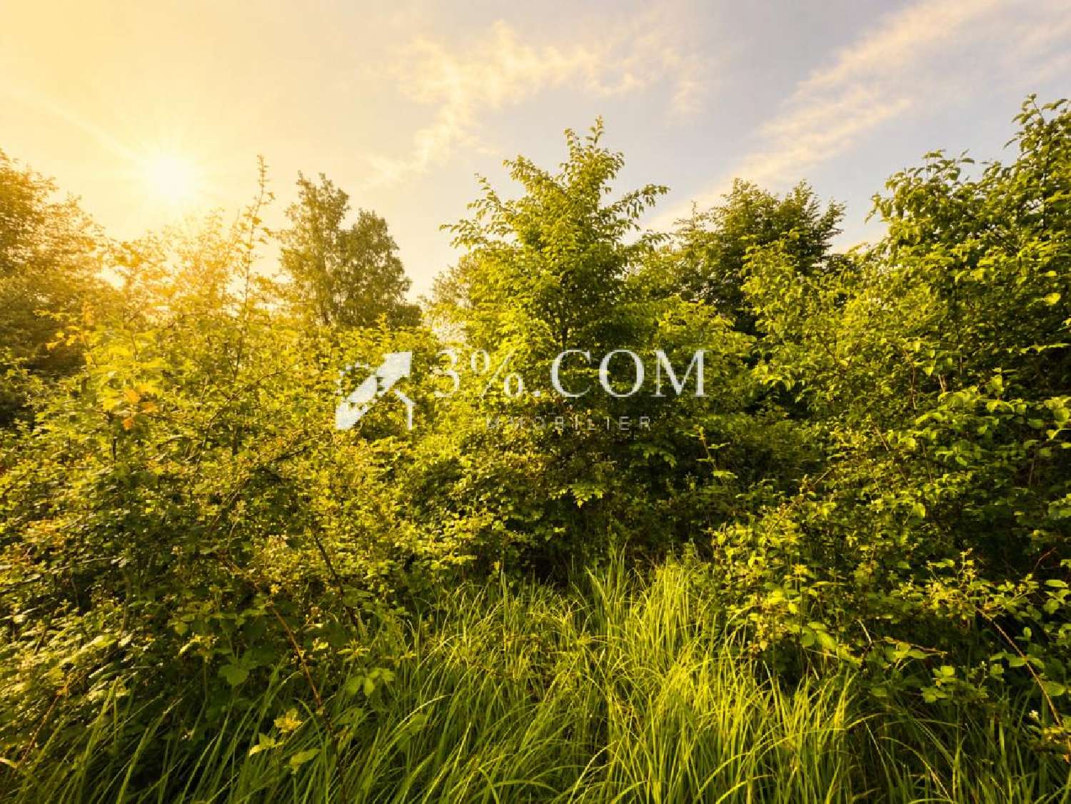  for sale terrain Chazelles-sur-Albe Meurthe-et-Moselle 3