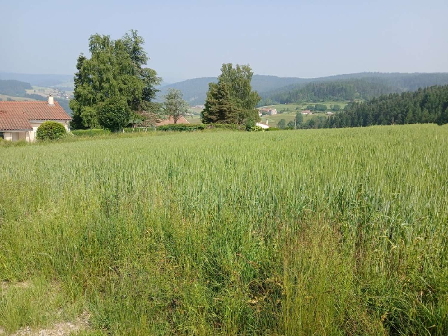 for sale terrain Dunières Haute-Loire 3