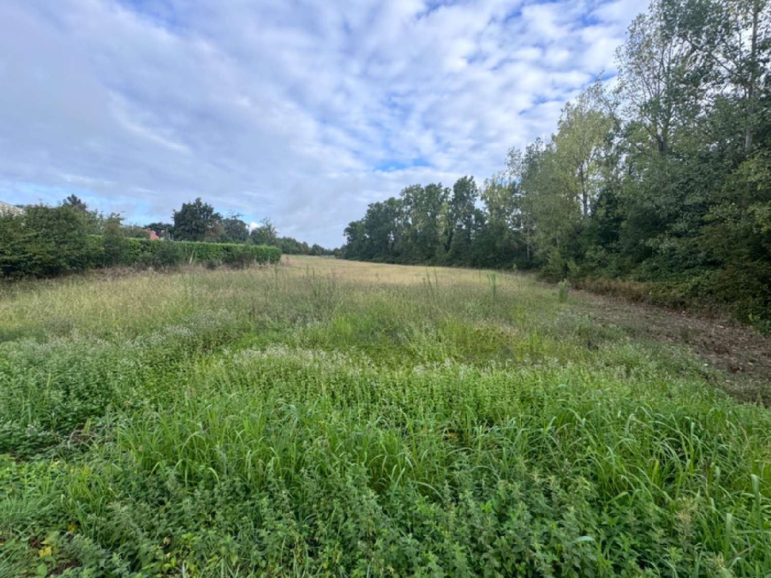 à vendre terrain Estillac Lot-et-Garonne 4