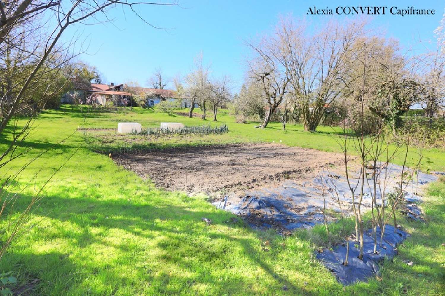  à vendre terrain Foissiat Ain 2