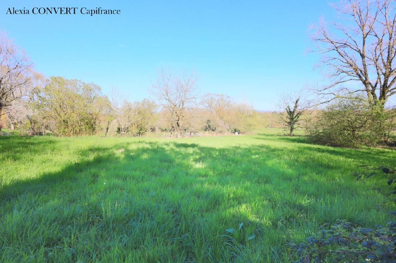  à vendre terrain Foissiat Ain 4