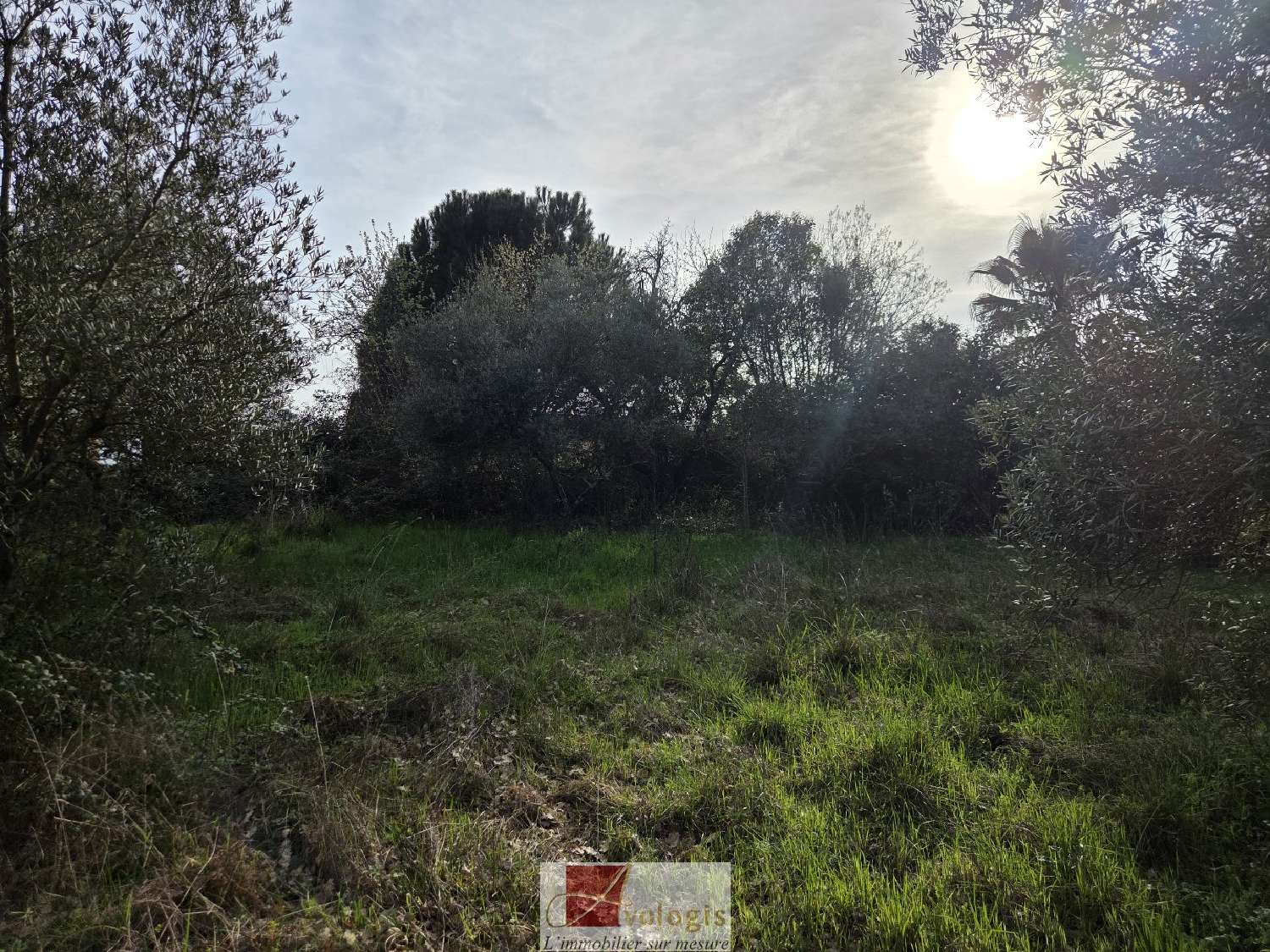  en venta terreno Ganges Hérault 3
