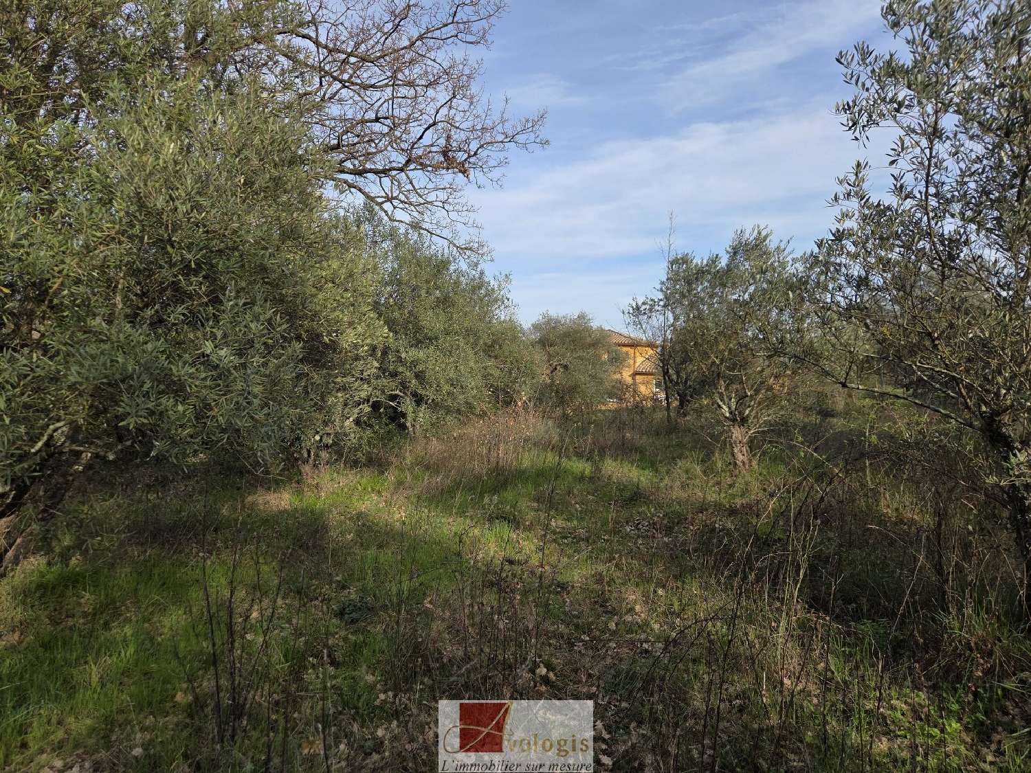  en venta terreno Ganges Hérault 6