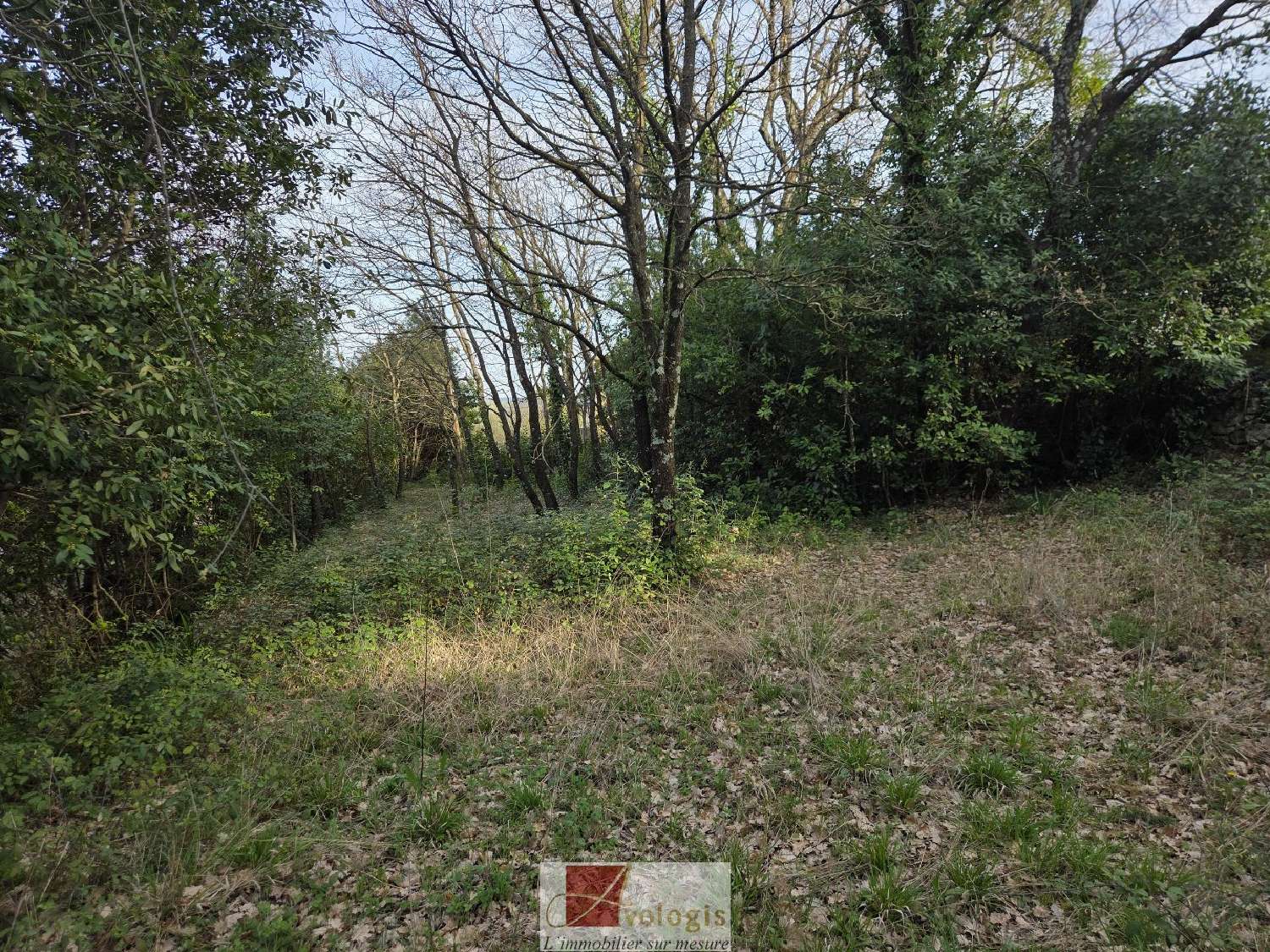  en venta terreno Ganges Hérault 7