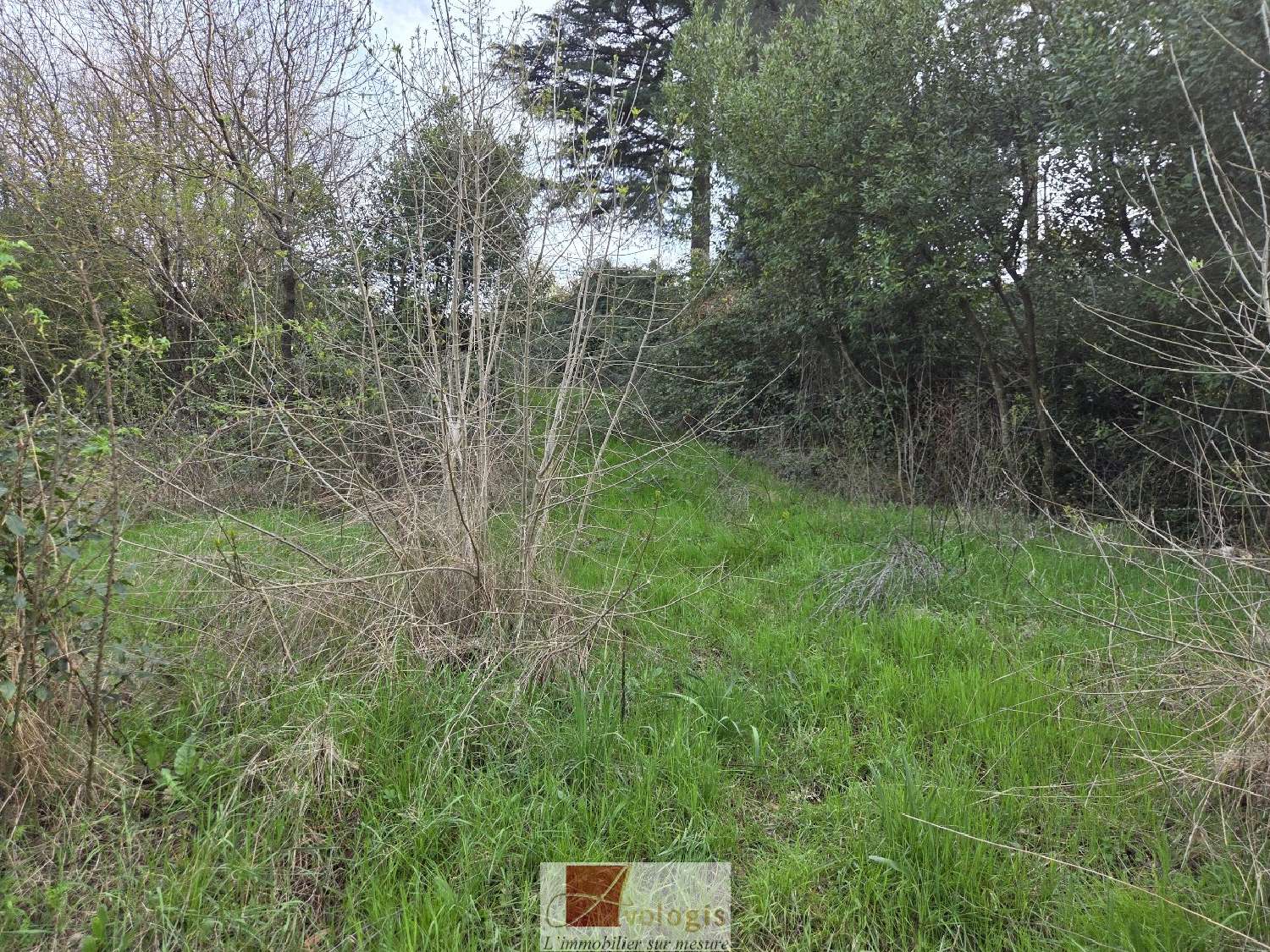  en venta terreno Ganges Hérault 8