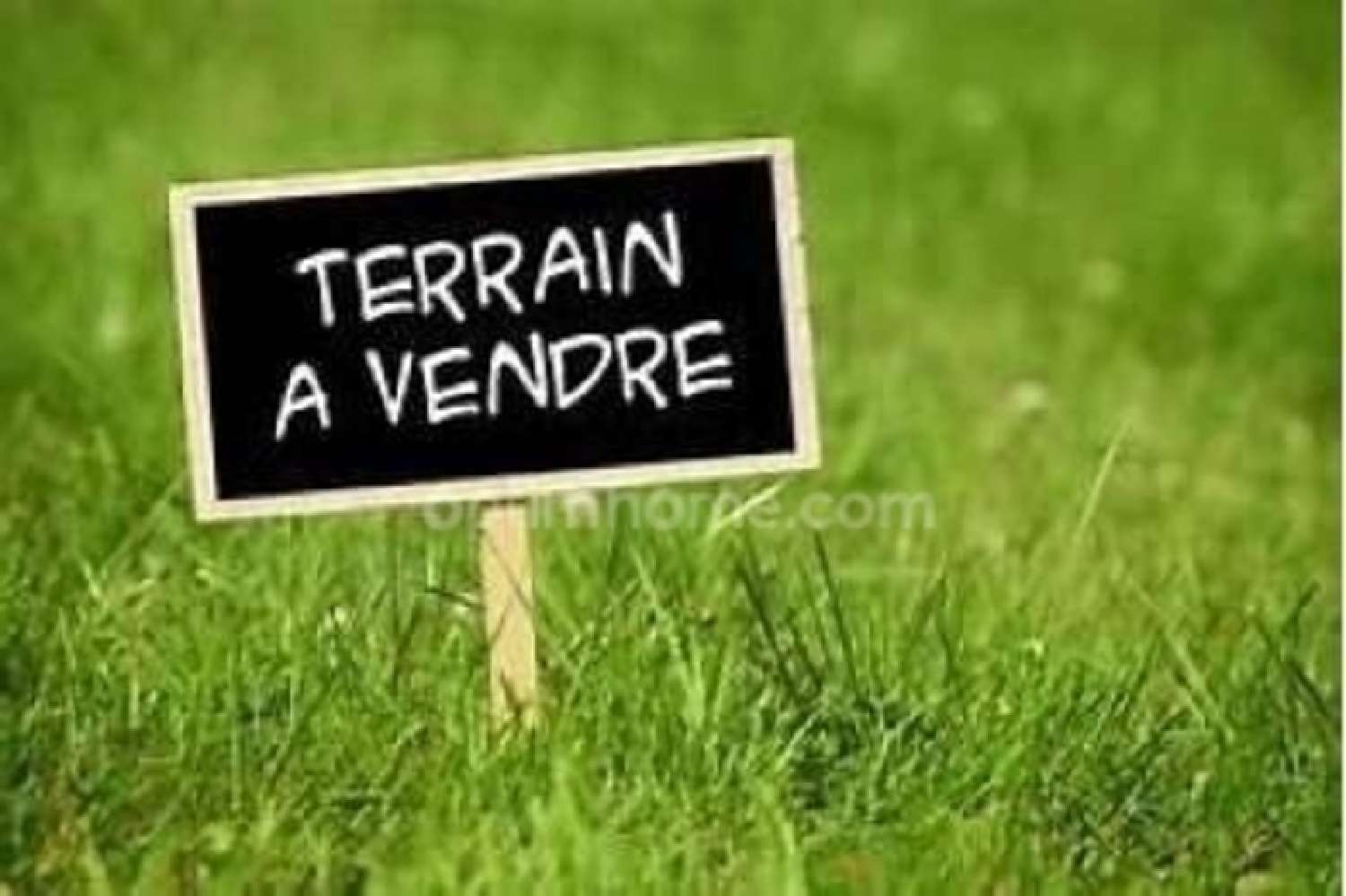  à vendre terrain Grimaucourt-en-Woëvre Meuse 1