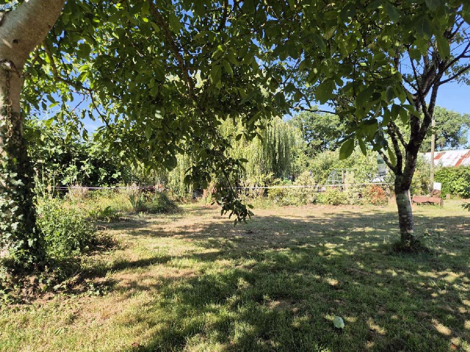  for sale terrain Grosbreuil Vendée 2