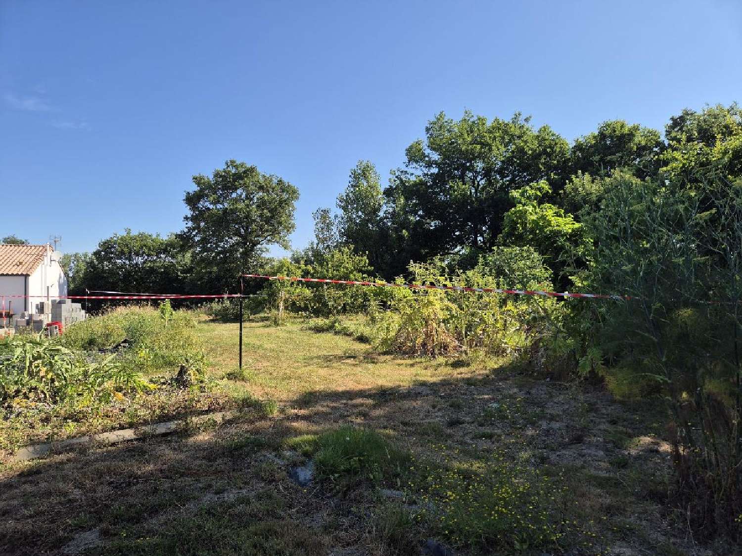  for sale terrain Grosbreuil Vendée 5