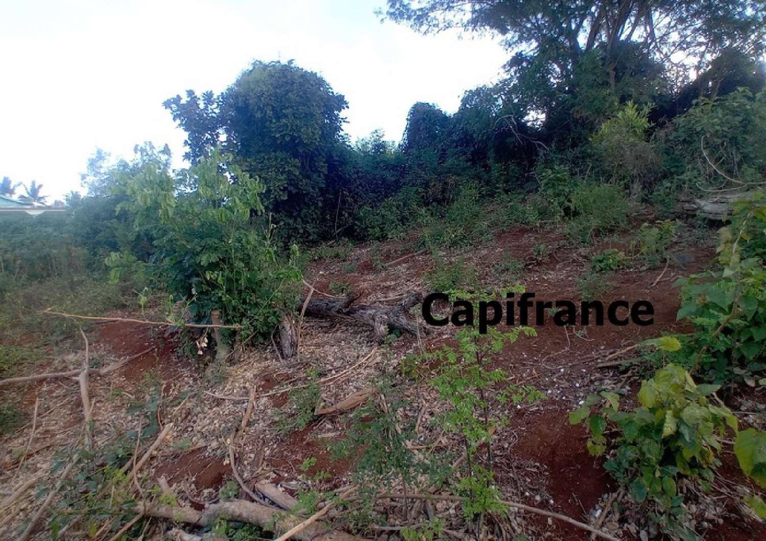  te koop terrein Koungou Mayotte 3