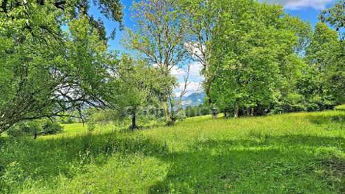 La Roche-sur-Foron Haute-Savoie terrein foto 7357009