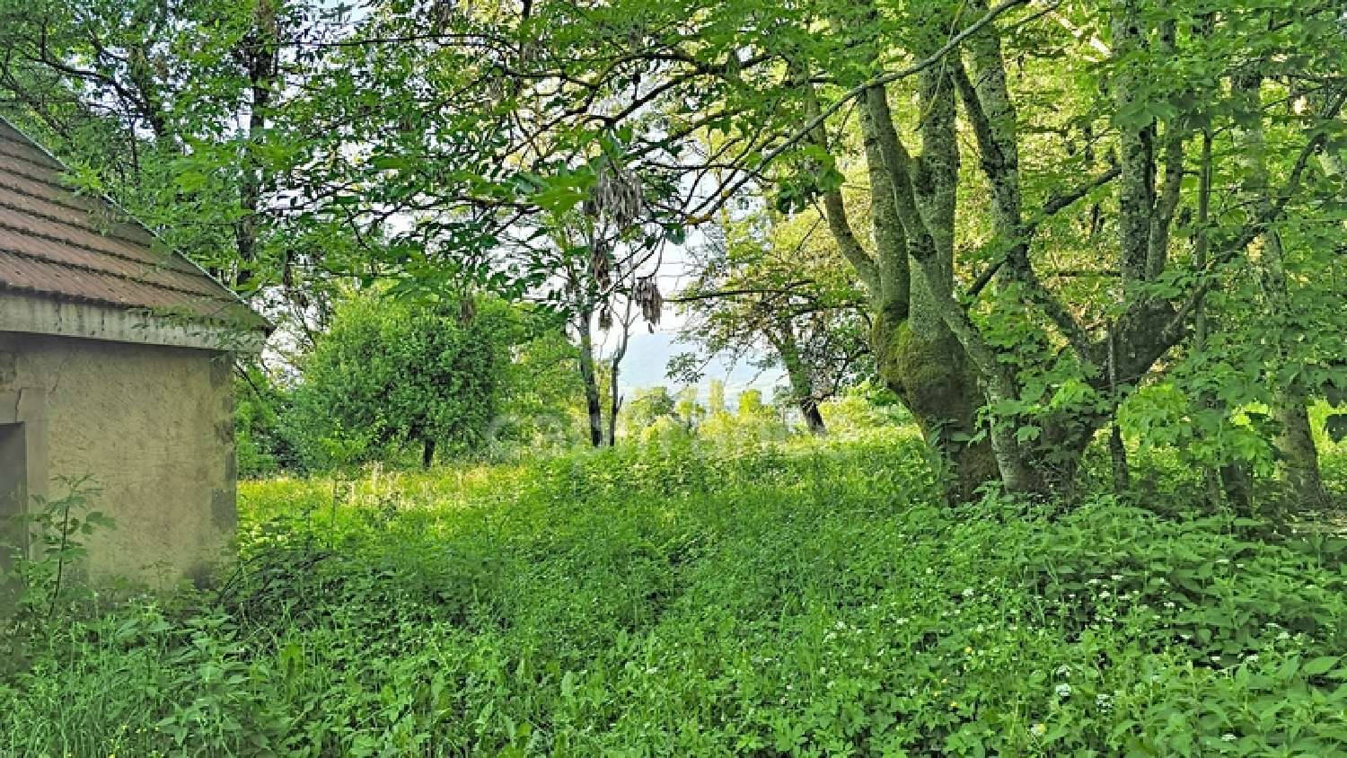 te koop terrein La Roche-sur-Foron Haute-Savoie 3