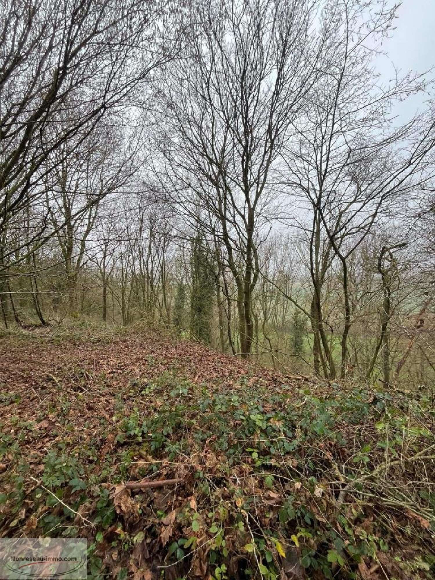  te koop terrein Laon Aisne 6