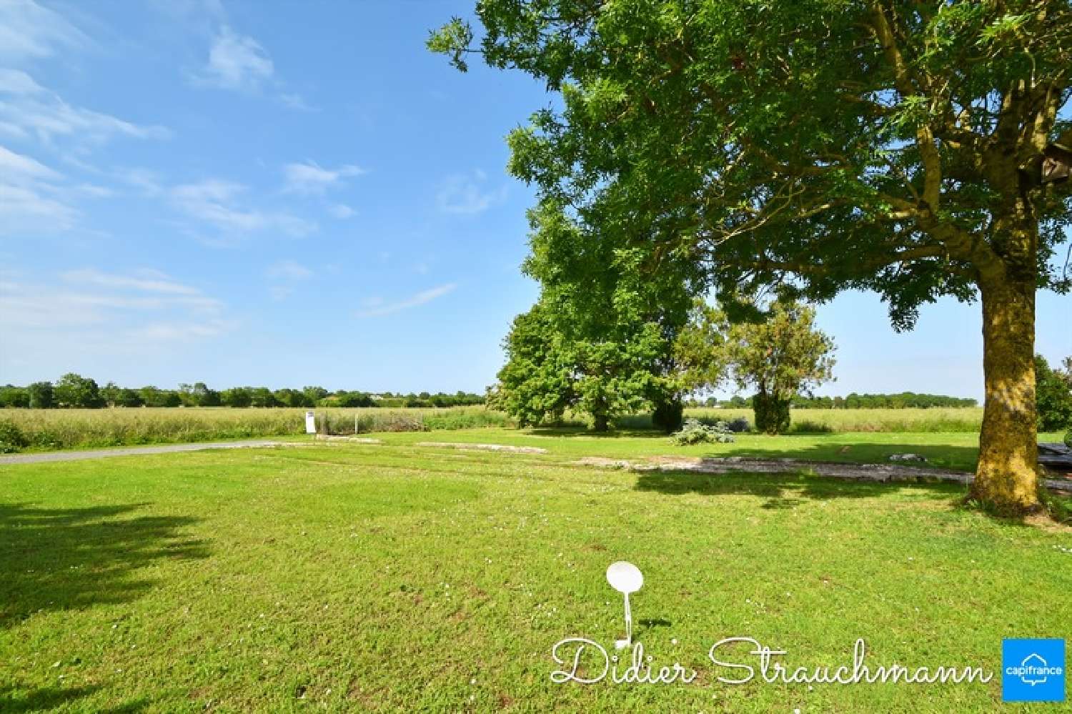  for sale terrain Le Thou Charente-Maritime 1
