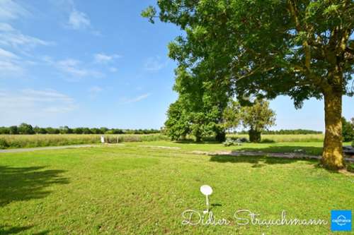 Le Thou Charente-Maritime terrain foto 7352837