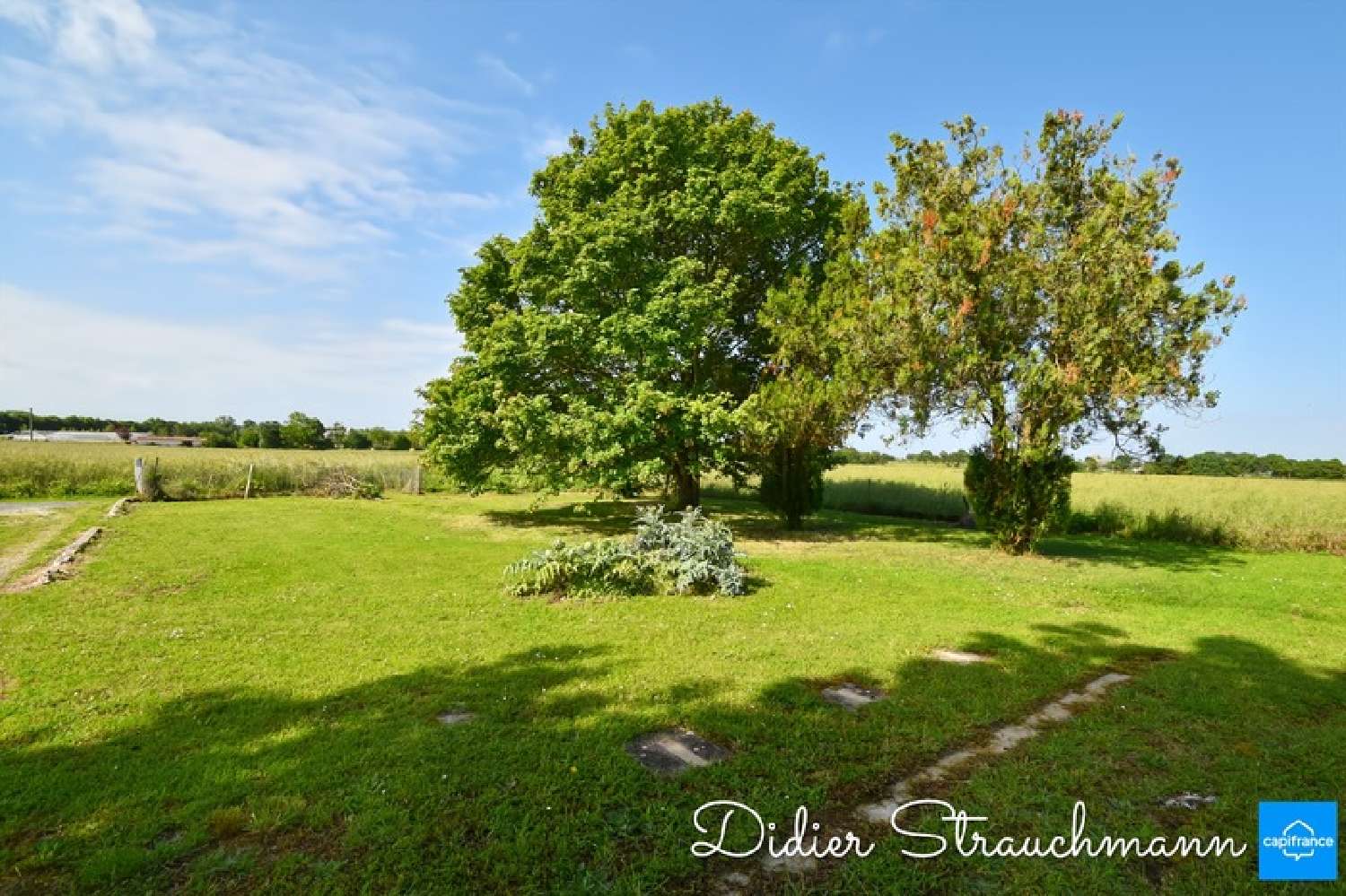  for sale terrain Le Thou Charente-Maritime 3