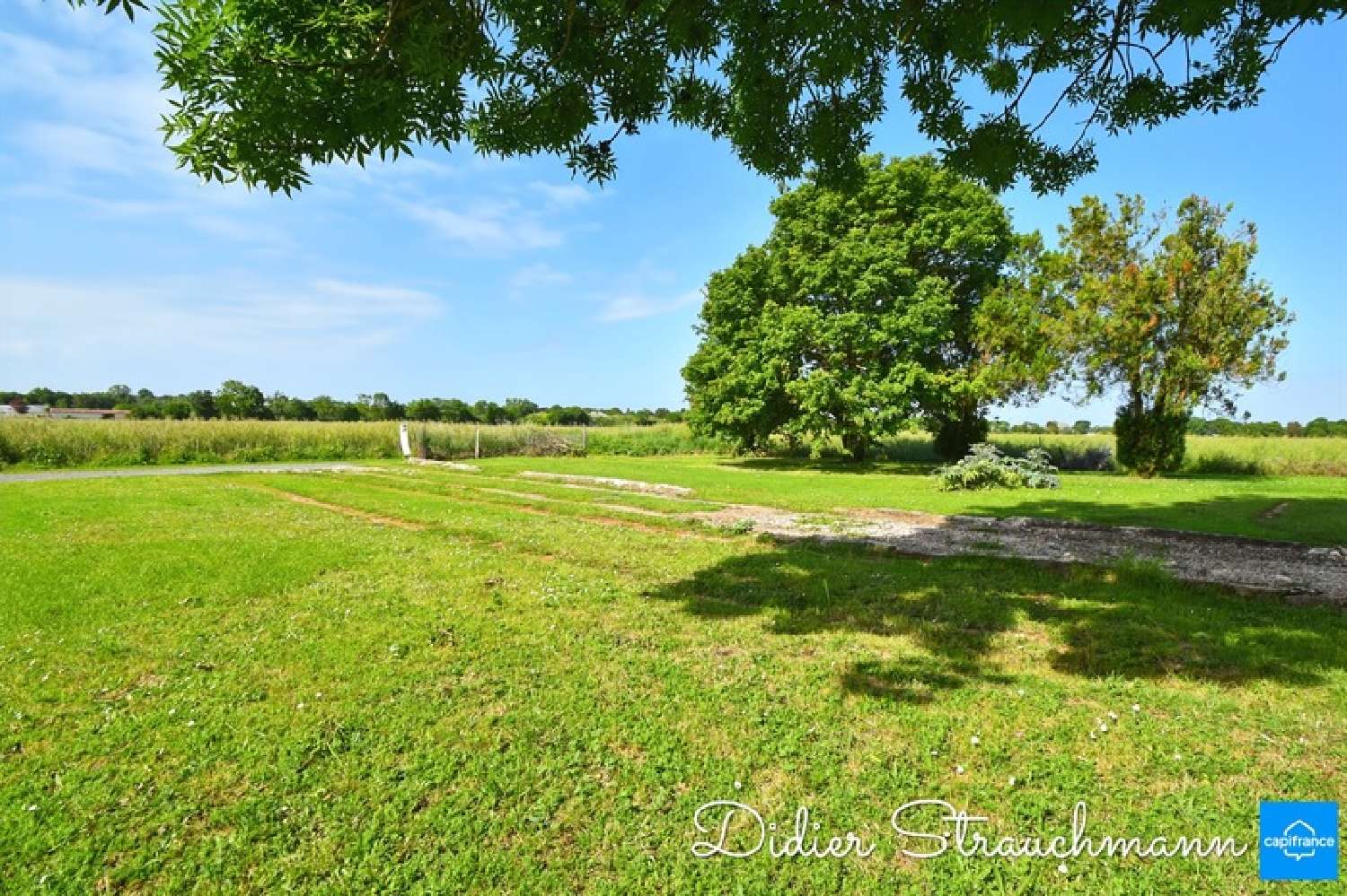  for sale terrain Le Thou Charente-Maritime 4