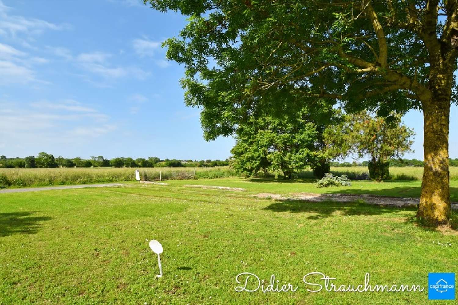  for sale terrain Le Thou Charente-Maritime 5