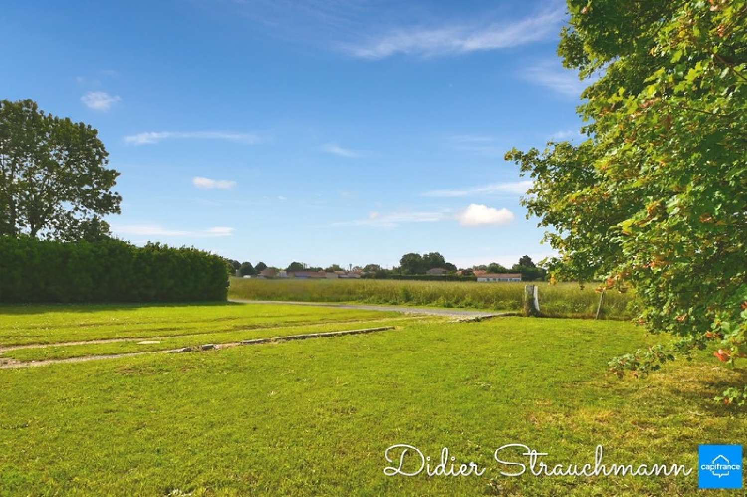  for sale terrain Le Thou Charente-Maritime 6