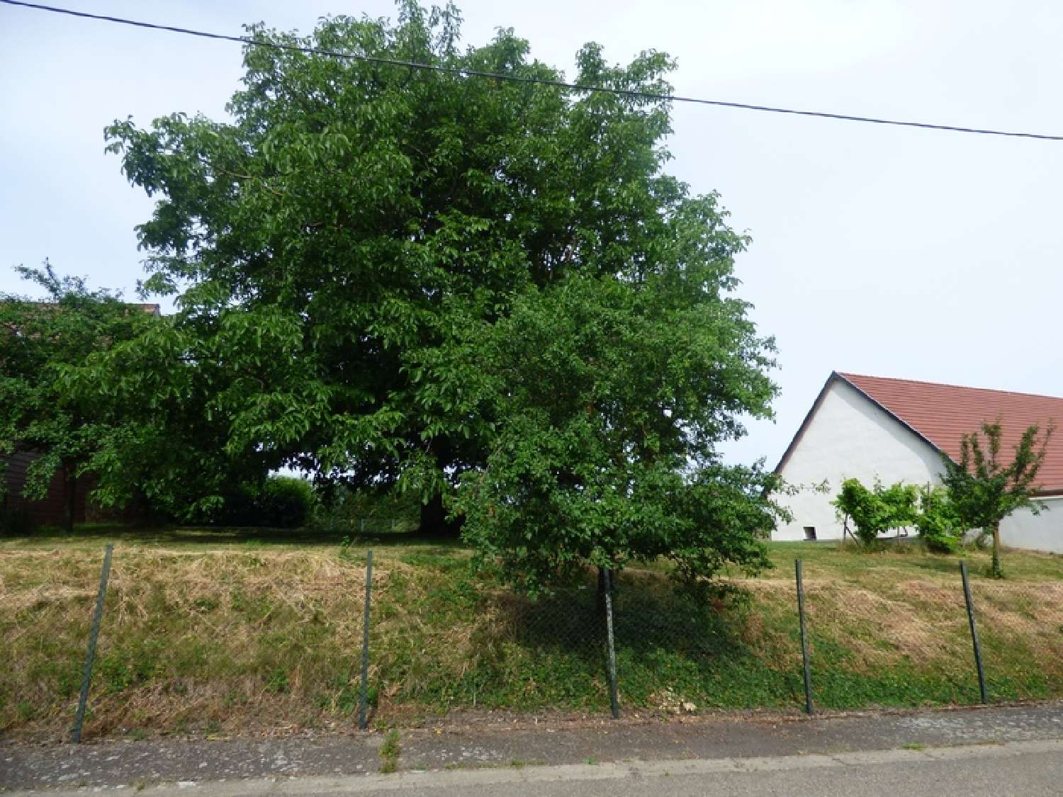  for sale terrain Lupstein Bas-Rhin 4