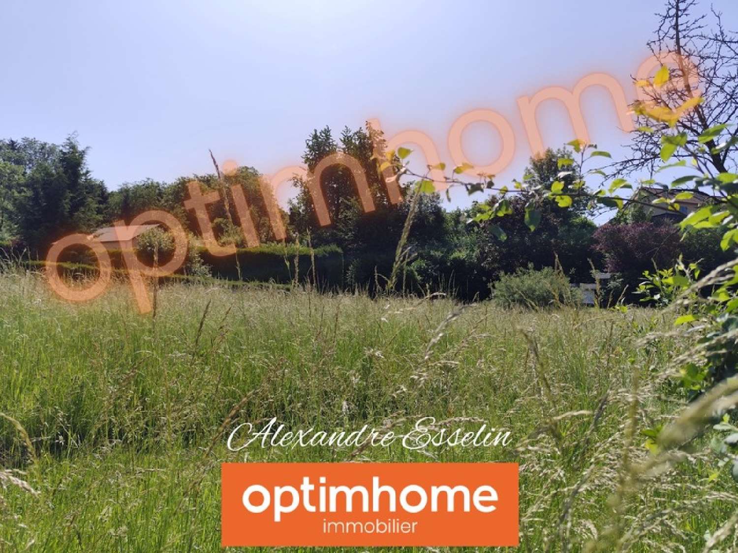  à vendre terrain Manderen Moselle 8