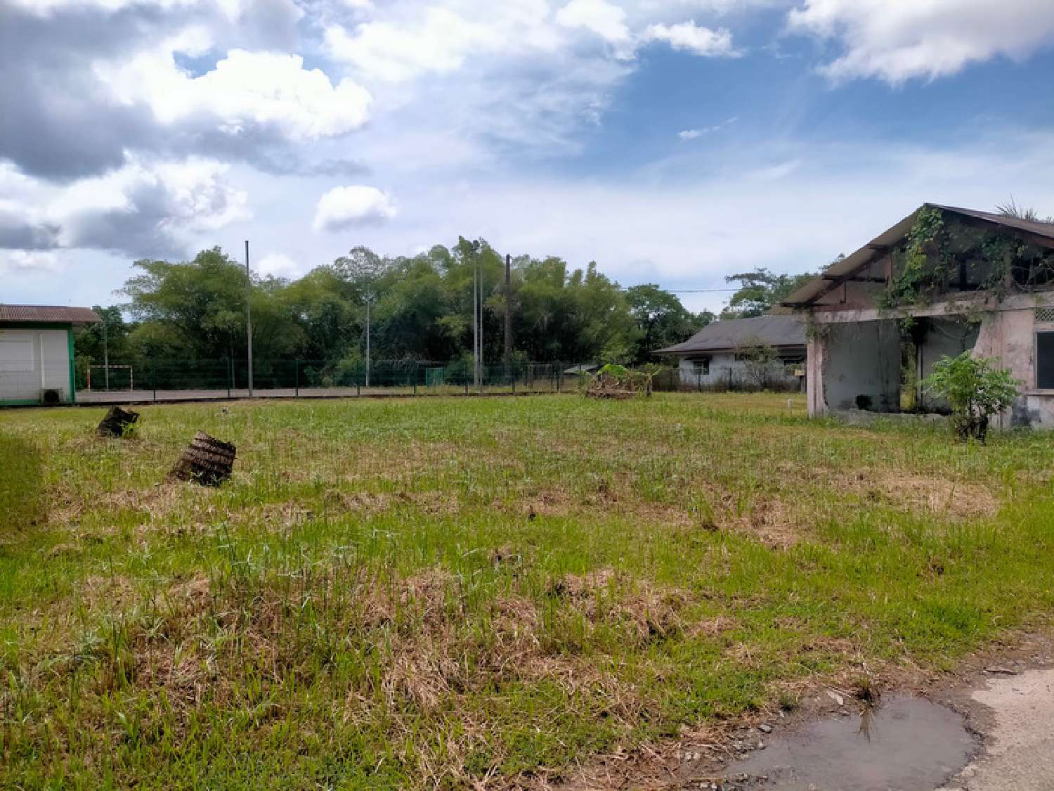 kaufen Grundstück Maripasoula Guyane 6