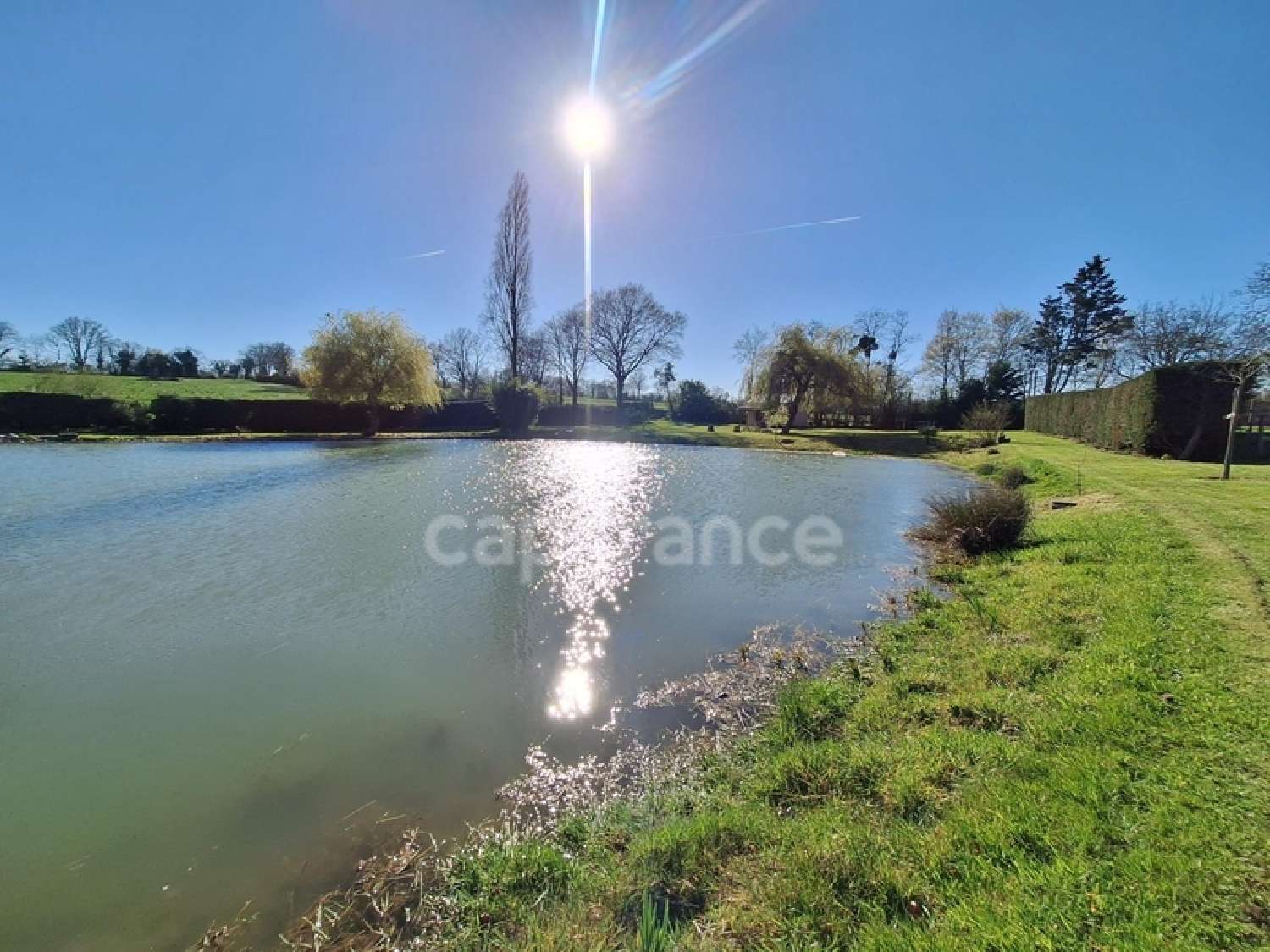  à vendre terrain Montigné-le-Brillant Mayenne 6