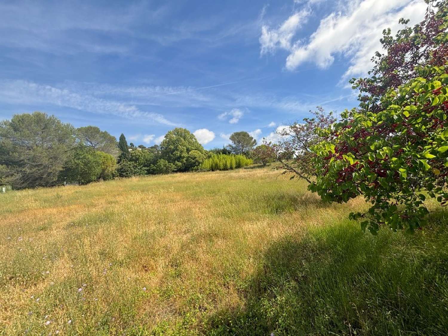  à vendre terrain Mougins Alpes-Maritimes 1