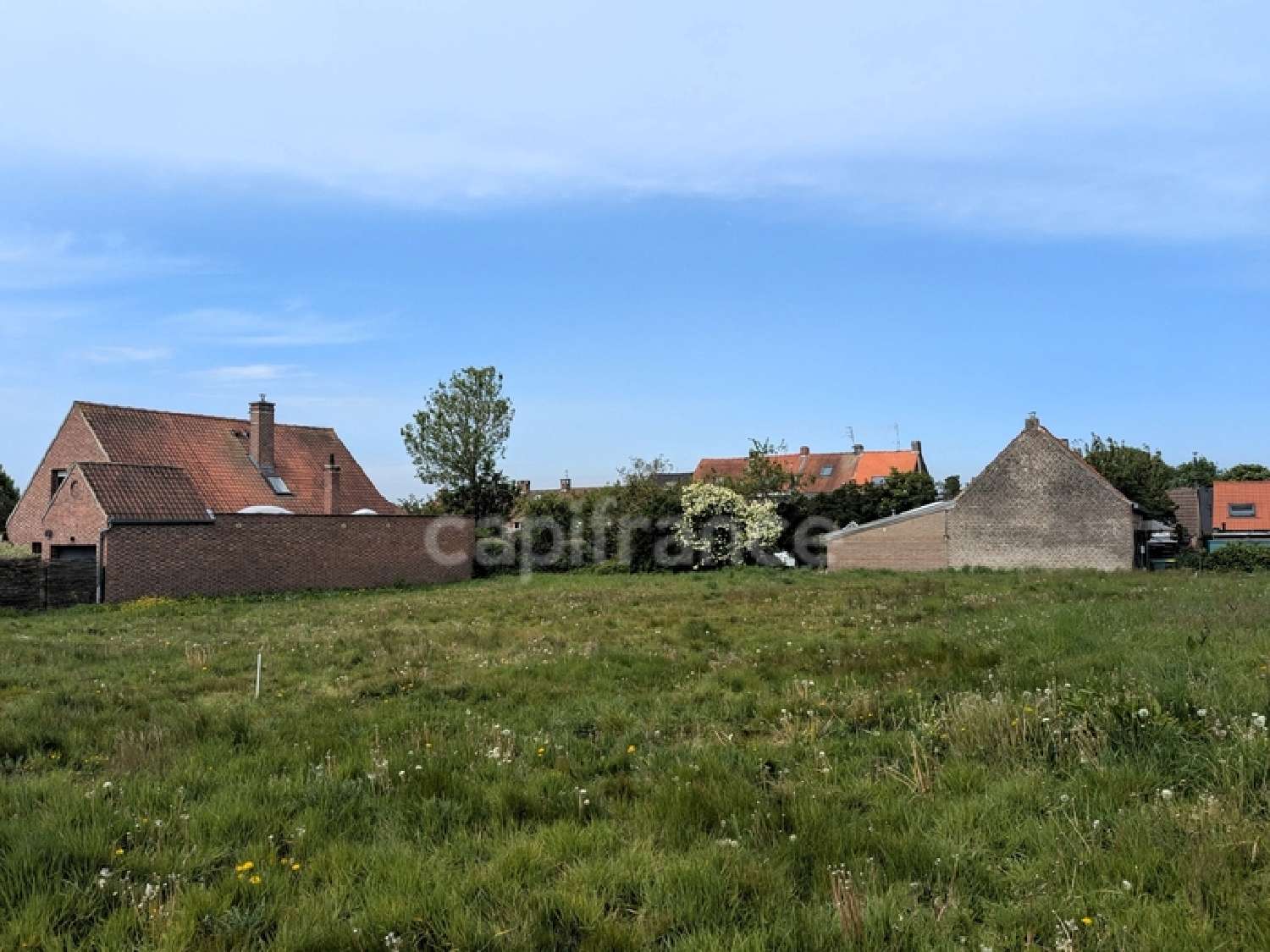 à vendre terrain Neuville-en-Ferrain Nord 4