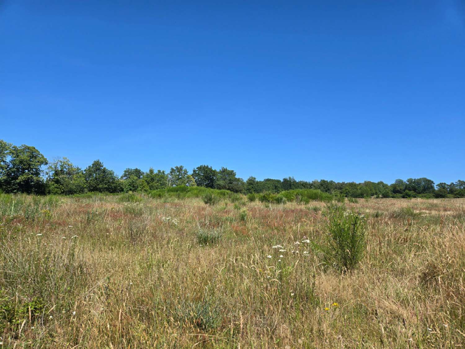 te koop terrein Oradour-sur-Vayres Haute-Vienne 5