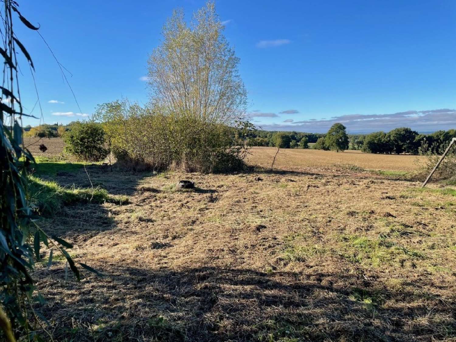  for sale terrain Paulhac Haute-Garonne 3