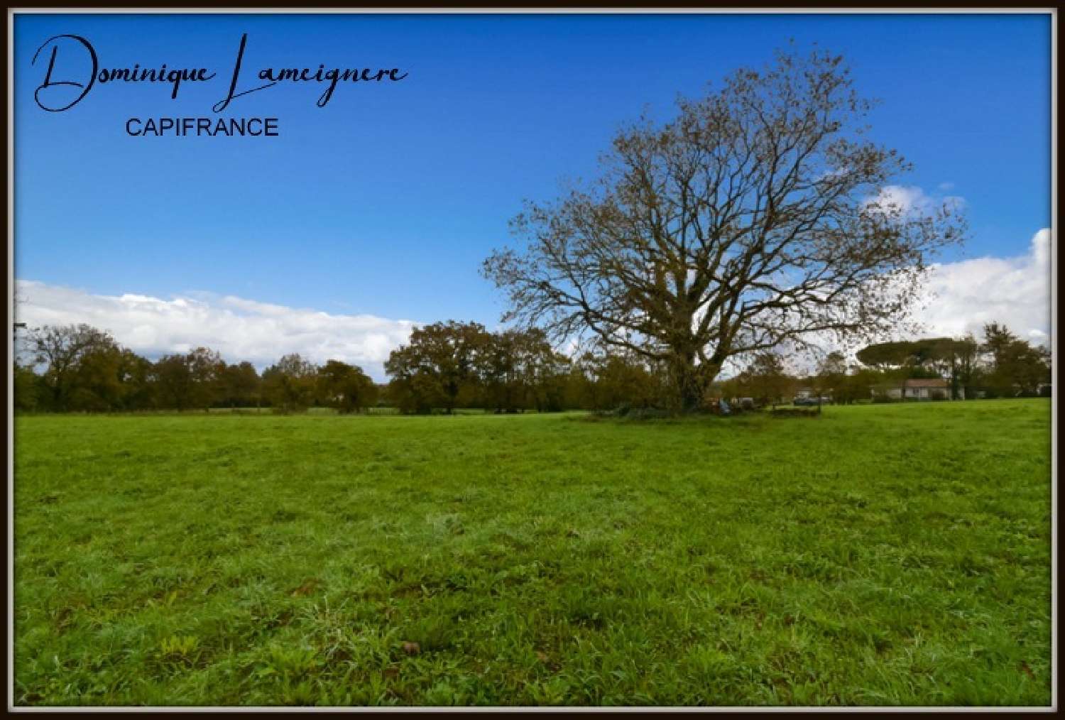 for sale terrain Peyrehorade Landes 3