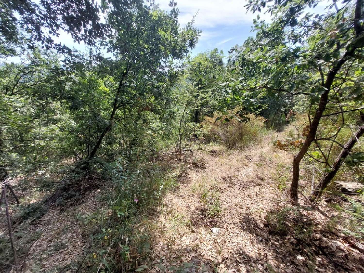 for sale terrain Riventosa Haute-Corse 2