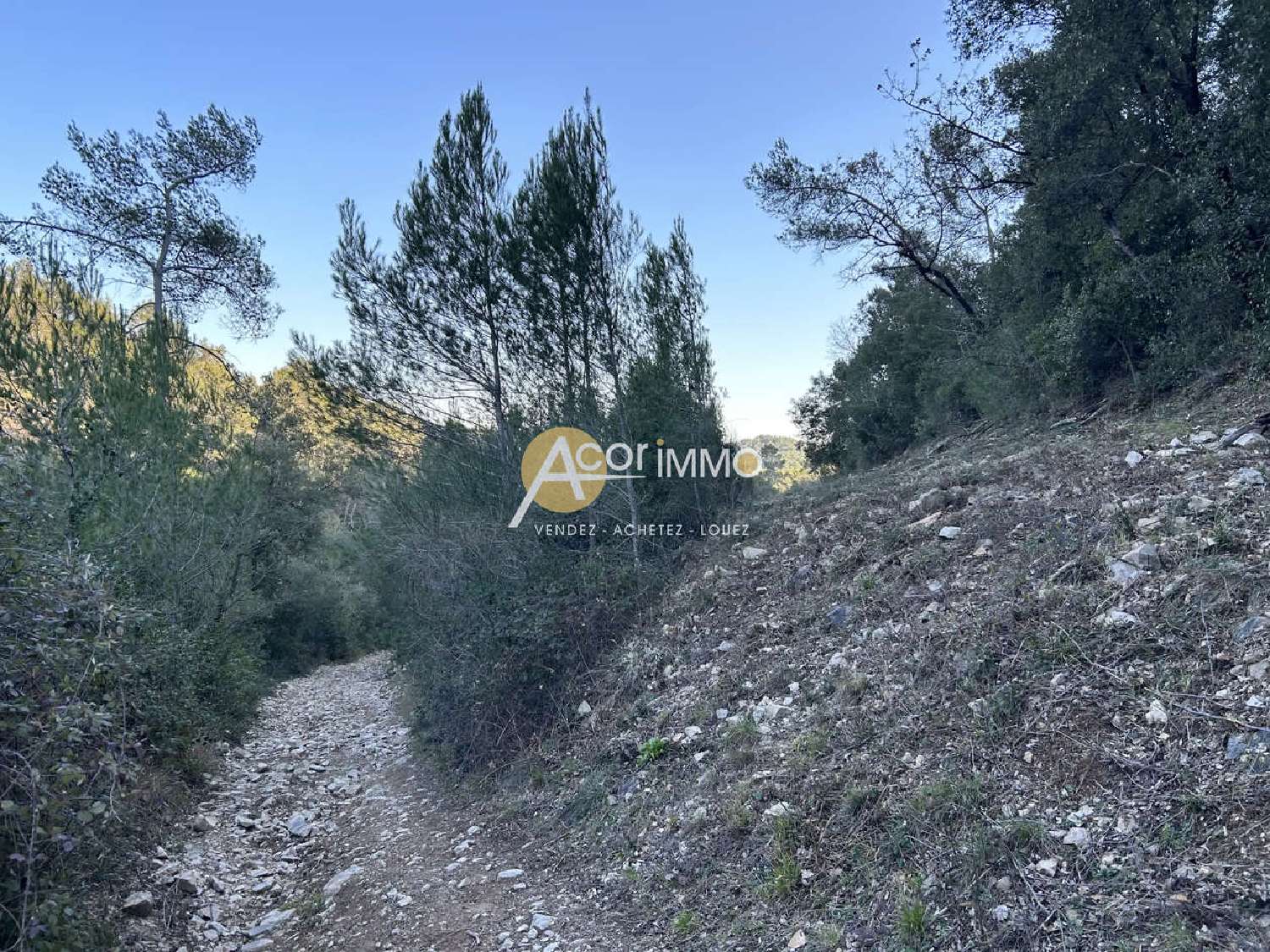 en venta terreno Rocbaron Var 2