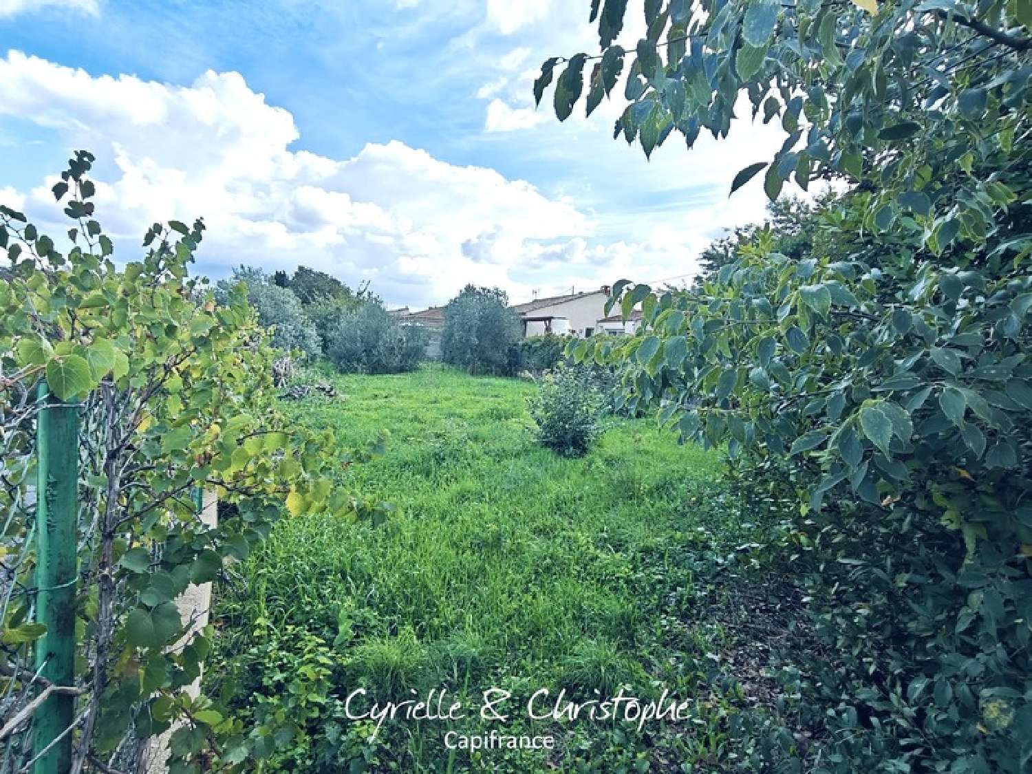  à vendre terrain Saint-André-de-Sangonis Hérault 2