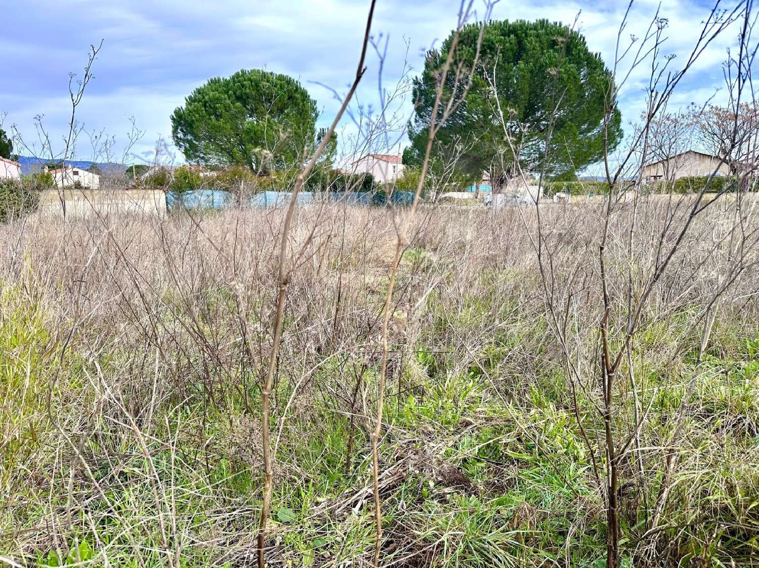  à vendre terrain Saint-André-de-Sangonis Hérault 1