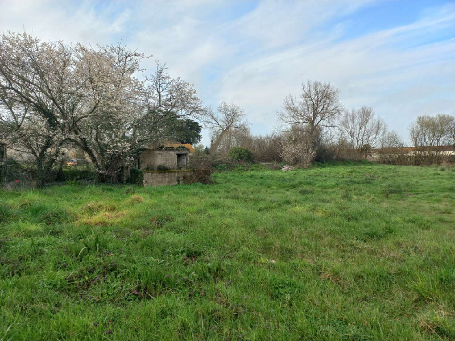  for sale terrain Saint-Jean-de-Monts Vendée 4