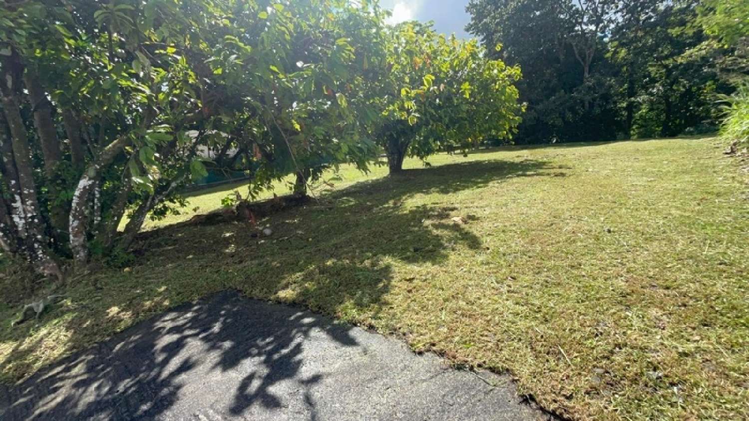  te koop terrein Saint-Joseph Martinique 2