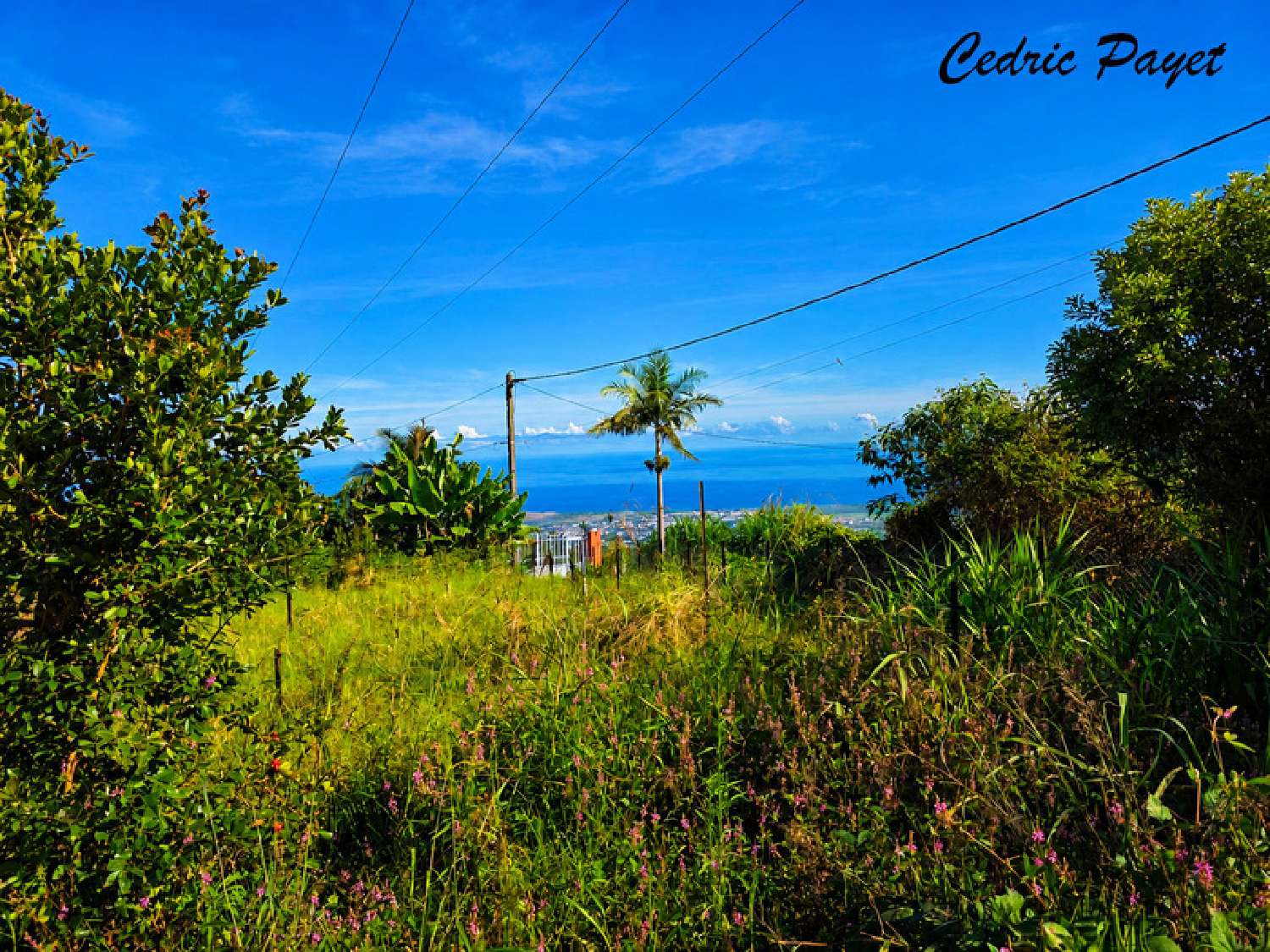  à vendre terrain Saint-Louis La Réunion 4
