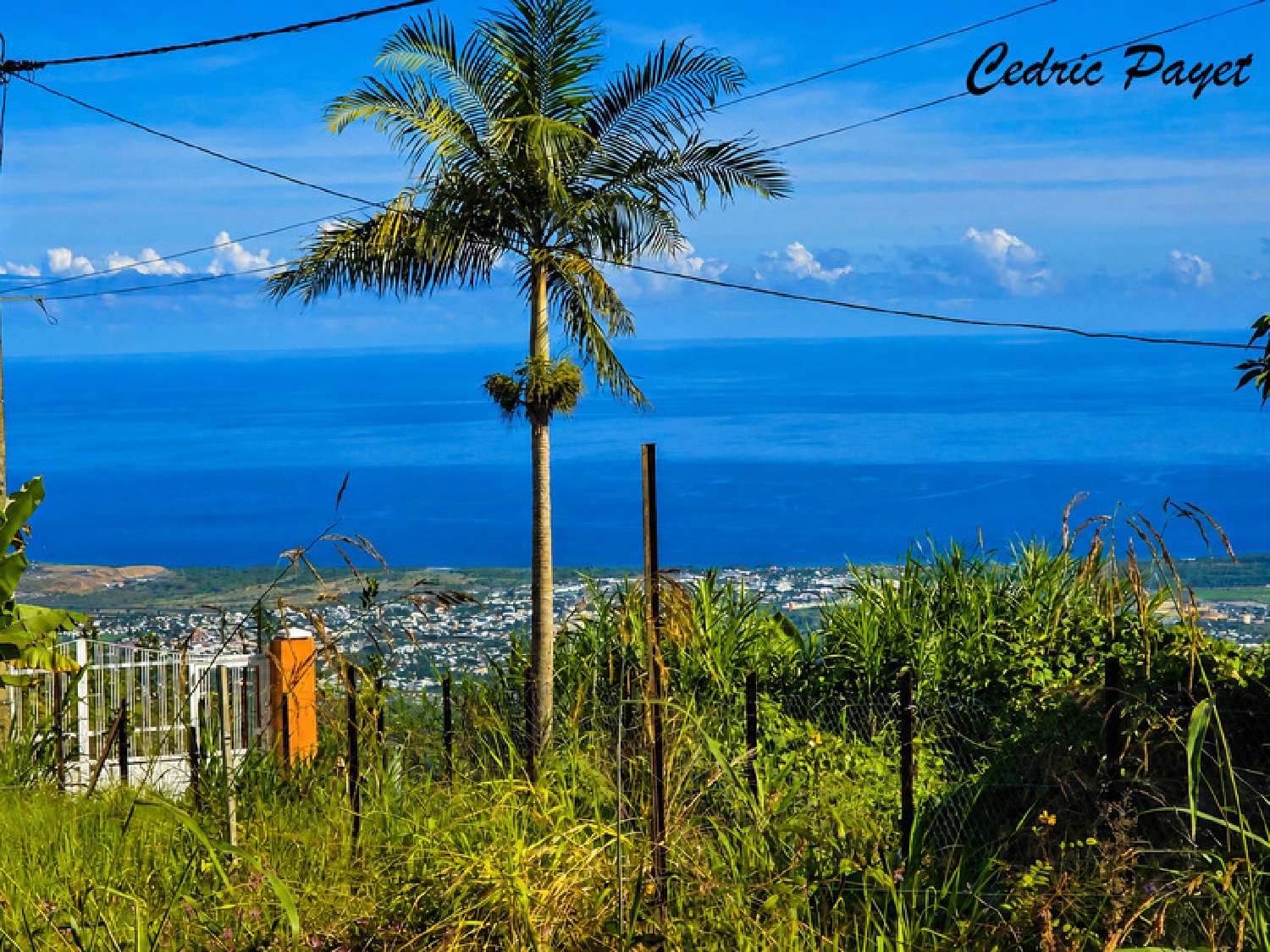  à vendre terrain Saint-Louis La Réunion 5