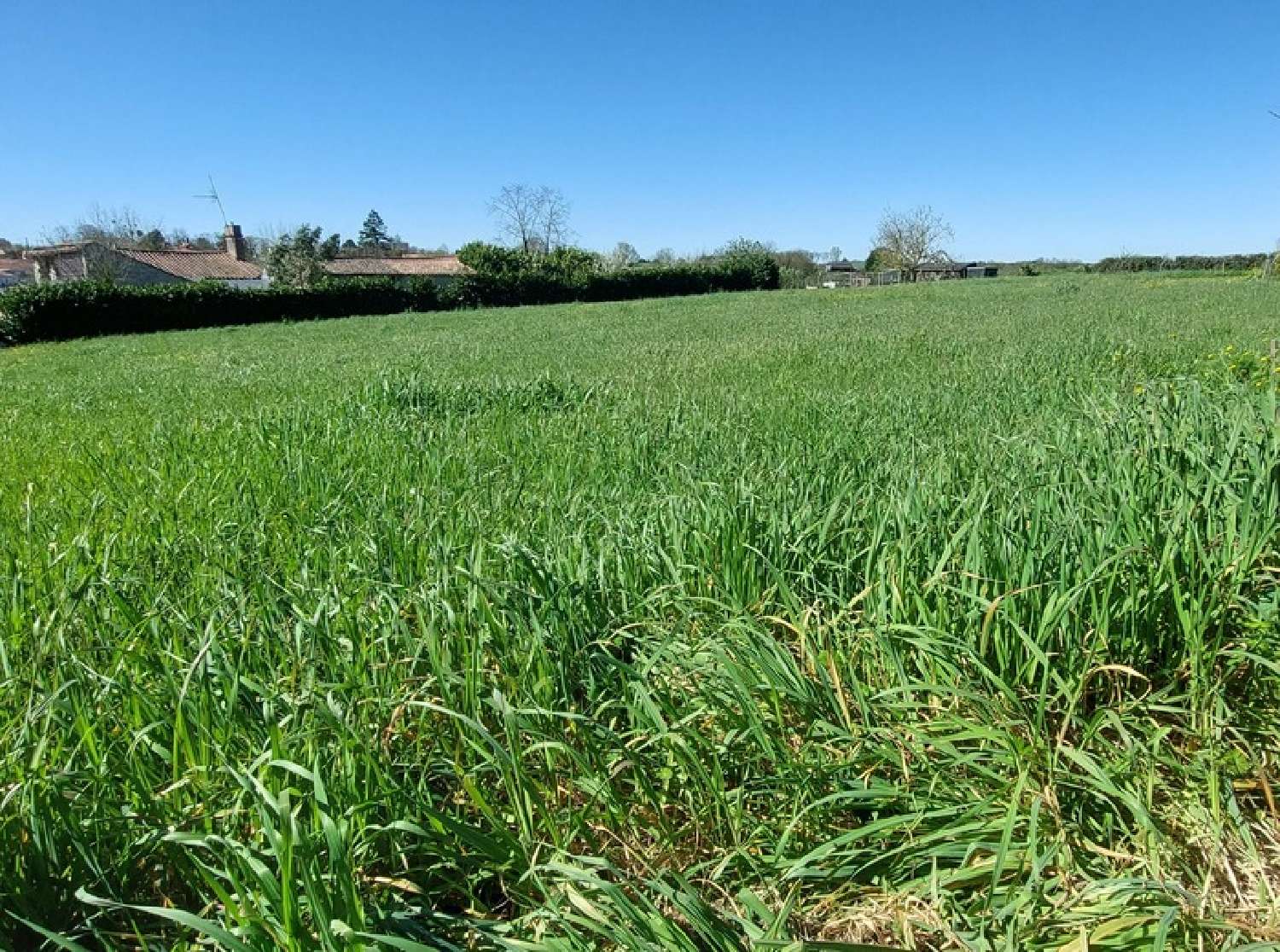 en venta terreno Saint-Michel-le-Cloucq Vendée 4