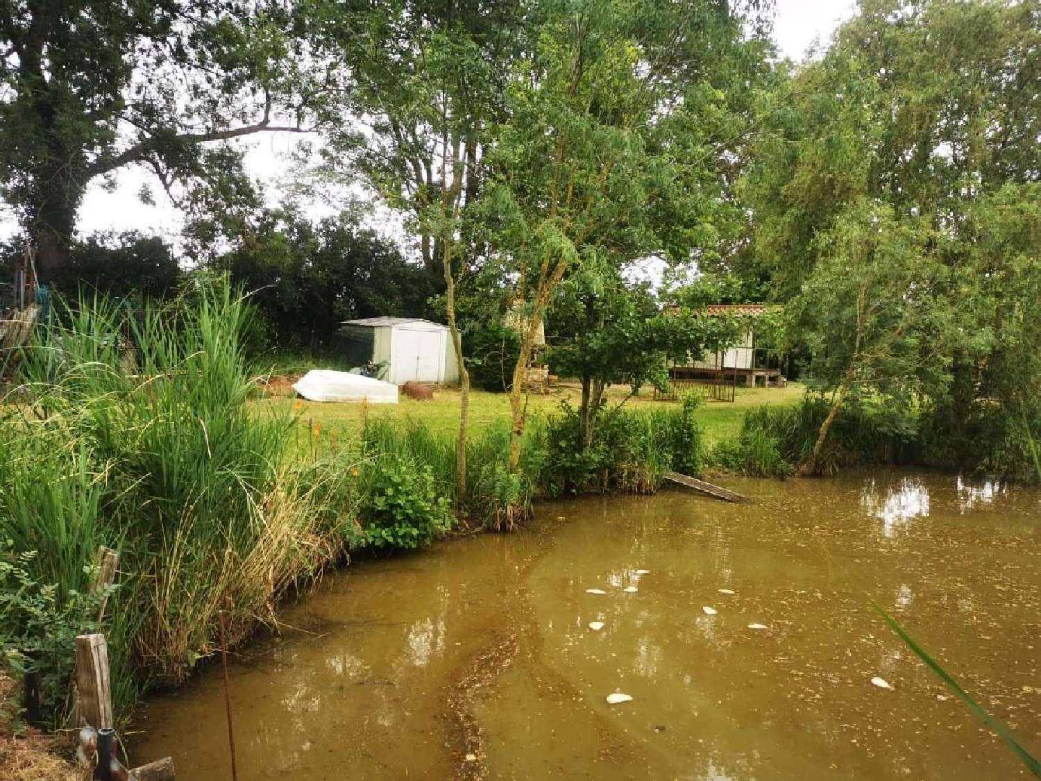en venta terreno Sainte-Gemme-la-Plaine Vendée 1