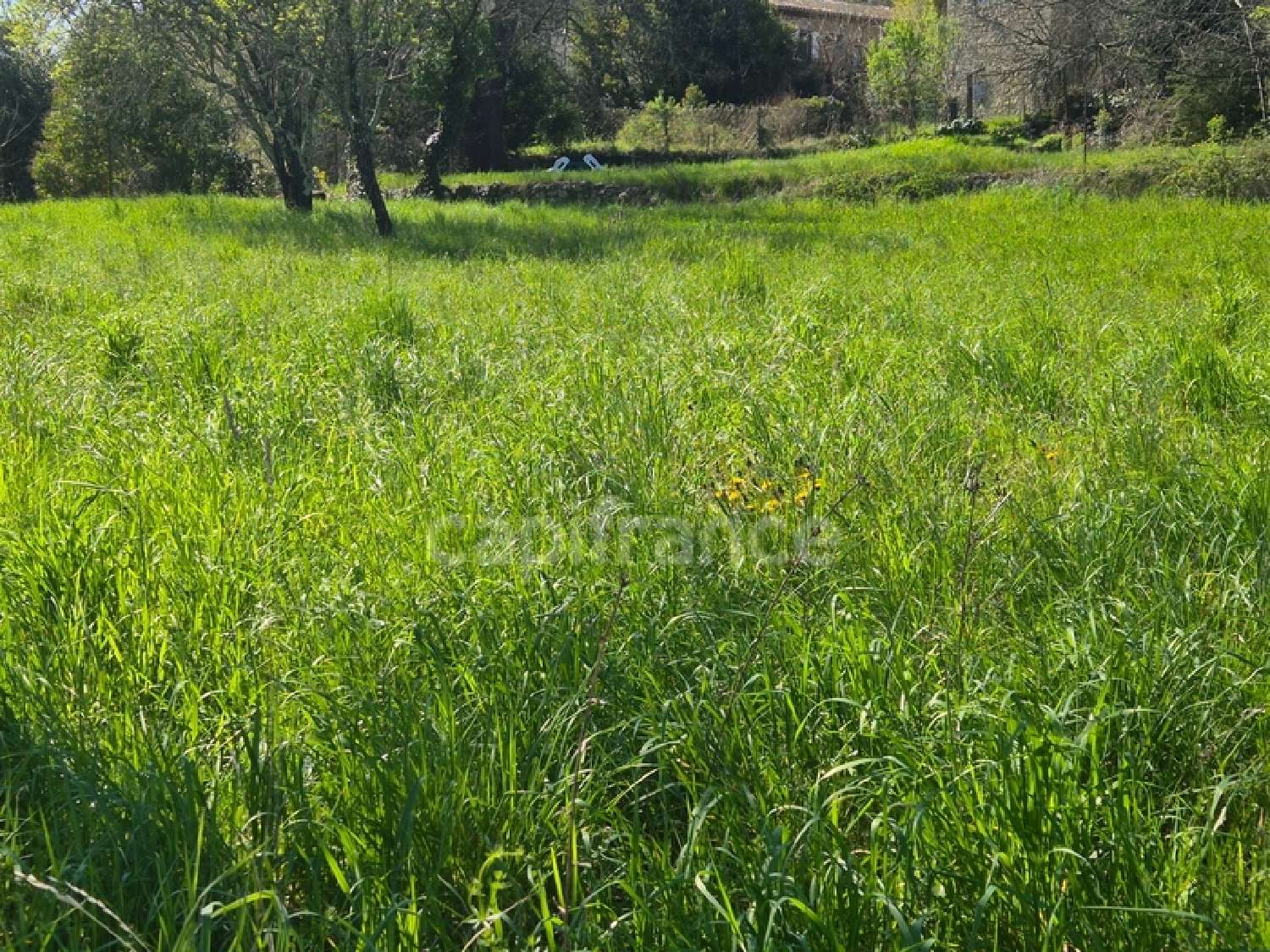  à vendre terrain Savignargues Gard 2