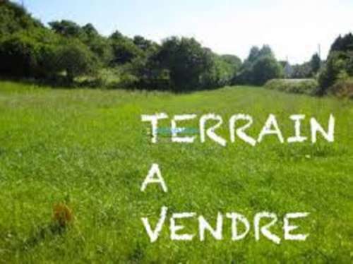 Thénezay Deux-Sèvres terrain foto 7352316