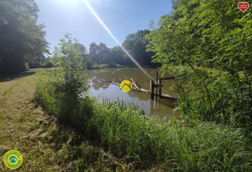 Vailly-sur-Sauldre Cher terrein foto 7348624